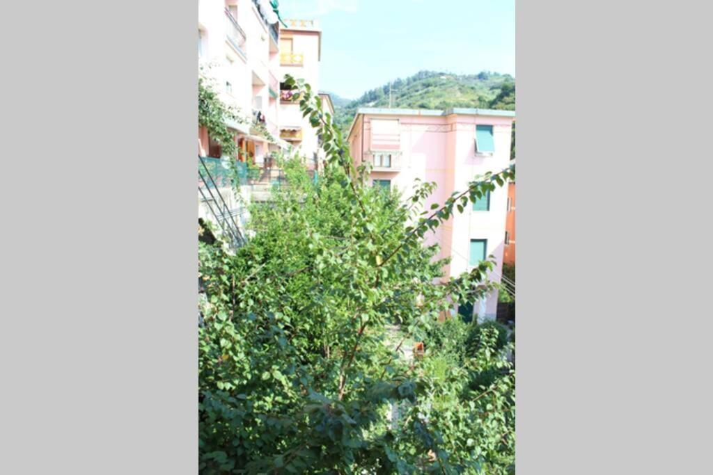 Appartement Ca Du Rocco - Citra 011019-Lt-0343 à Monterosso al Mare Extérieur photo